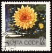 Yellow dahlia on post stamp