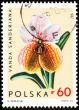 Orchid Vanda Sanderiana on post stamp