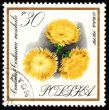 Yellow flowers on post stamp
