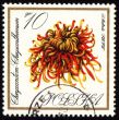 Chrysanthemum on post stamp