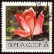 Red rose on post stamp