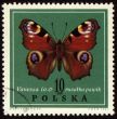 Butterfly Vanessa on post stamp