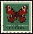 Butterfly Vanessa on post stamp