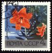 Orange lily on post stamp