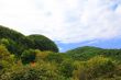 Summer landscape with Caucasus green mountains