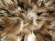 Unusual grey space explosion