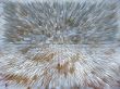 Grey abstract background