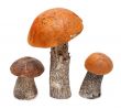 Three mushrooms