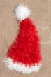 Red cristmas hat santa
