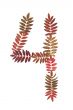 Numeral four 4 put from autumn sheet