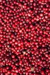 Cranberries by background