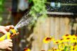 Watering Flowers