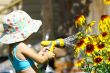 Watering Flowers
