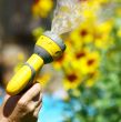 Watering Flowers