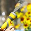 Watering Flowers