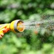 Watering Flowers
