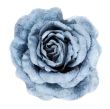 Blue fabrics rose