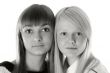 Portrait two girls of the blonde and brunettes monochrome