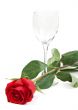 Red rose and a glass cup
