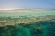 reef at low tide