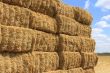 haystack