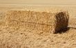 haystack