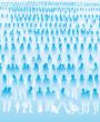 crowd of people