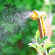 Watering Flowers