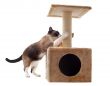 scratching cat