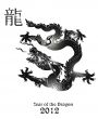 Dragon's Year Design