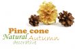 two pine cones and one golden cone over white background with sh