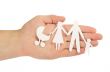 paper family in hands isolated on white
