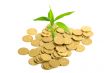 Coins and plant, isolated on white background