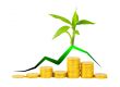 gold coins and plant isolated on white