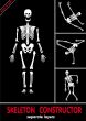 Skeleton constructor