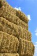 haystack