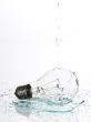 the bulb