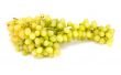 grape