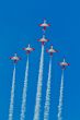 Patrulla Aguila