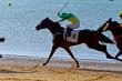 Horse race on Sanlucar of Barrameda, Spain, August  2011