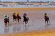 Horse race on Sanlucar of Barrameda, Spain, August  2011