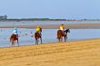 Horse race on Sanlucar of Barrameda, Spain, August  2011