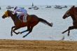 Horse race on Sanlucar of Barrameda, Spain, August  2011