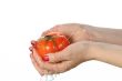 Tomato in palms