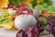 Pumpkins of autumn leaves