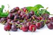 cherries in water drops closeup