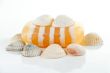 SPA kit, soap, and shells