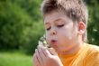 A boy blowing on a dandelion, a portrait of a summer day