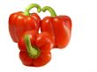 Red bell pepper isolated on a white background