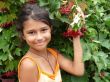The girl standing beside a red viburnum